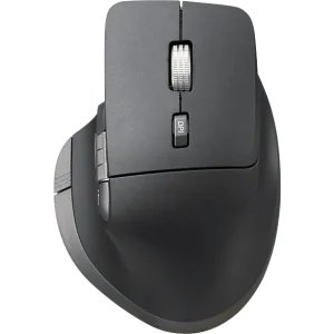 ISY Souris sans fil  Dual Mode Pro Noir (IWM-5000)